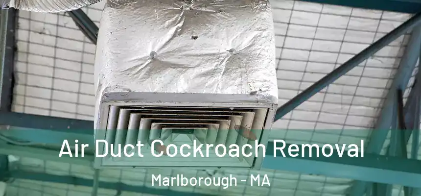  Air Duct Cockroach Removal Marlborough - MA
