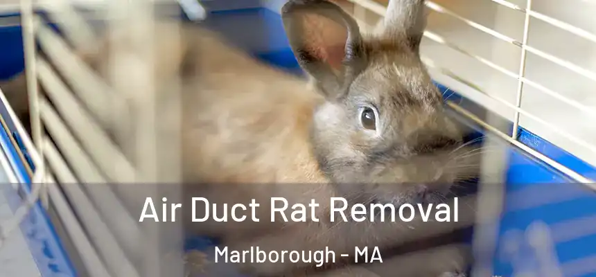  Air Duct Rat Removal Marlborough - MA