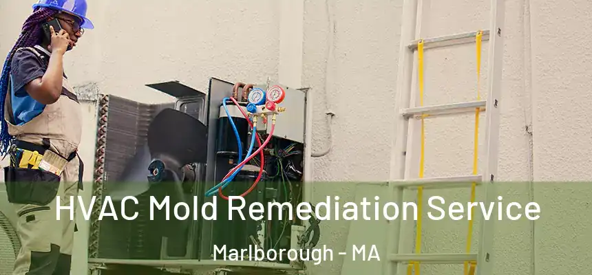HVAC Mold Remediation Service Marlborough - MA