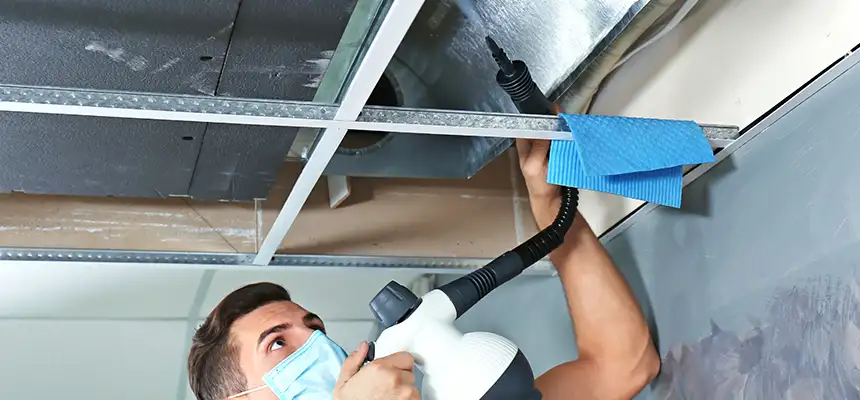 Our Air Duct Rodent Removal Services in Marlborough, MA