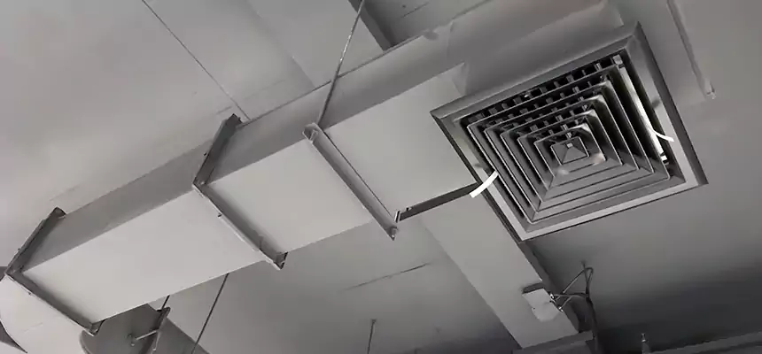 Restorative Allergy Relief Vent Cleaning – Coil, Blower & Housing Detail in Marlborough