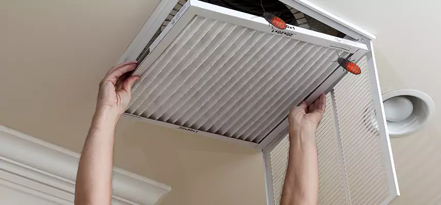 Our Insect Removal from Air Ducts Services in Marlborough, MA