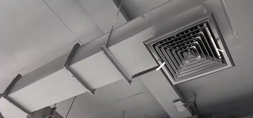 Our Pest Removal From Ducts Services in Marlborough, MA