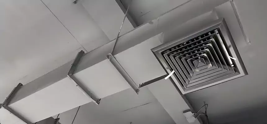 Our Rodent Droppings In Vents Services in Marlborough, MA