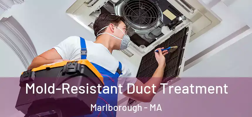  Mold-Resistant Duct Treatment Marlborough - MA