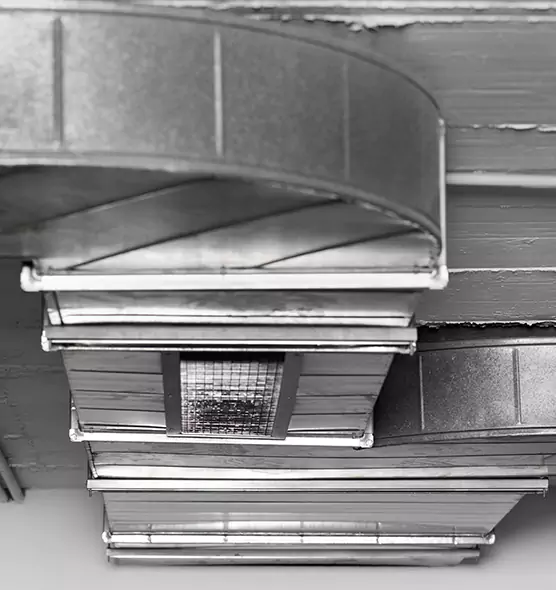 Professional Air Duct Pet Hair Removal in Marlborough, MA