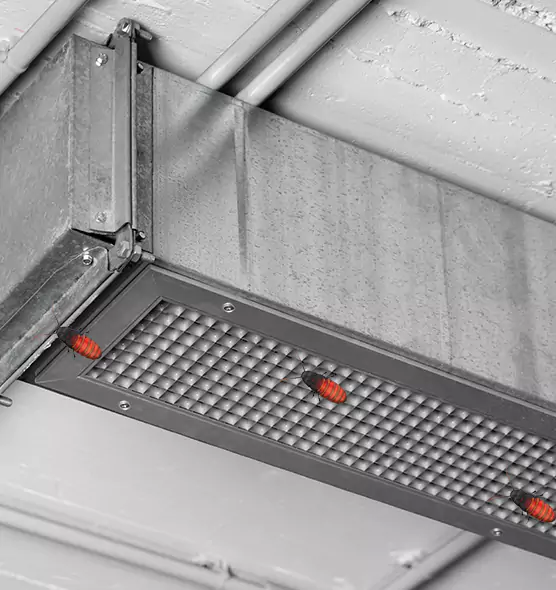 Affordable Insect Removal from Air Ducts in Marlborough, MA
