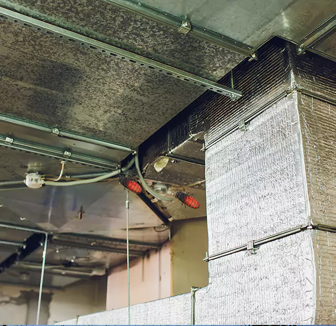 Why Homeowners & Businesses Trust Us in Marlborough, MA?