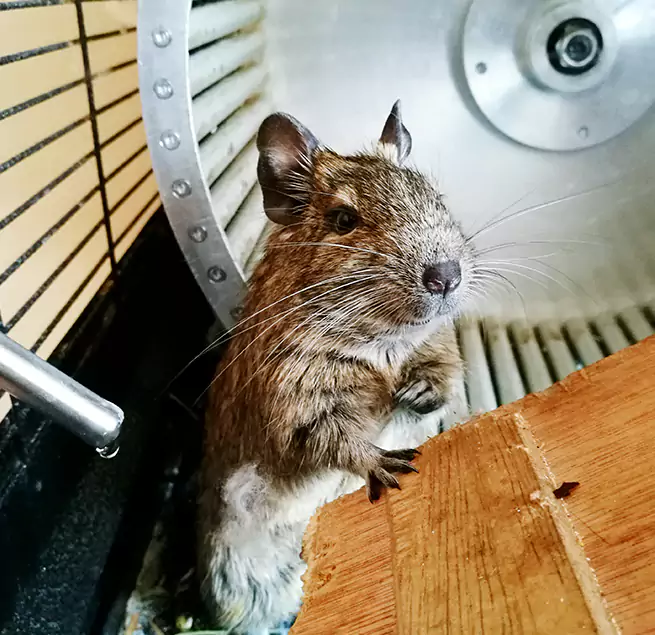 Why Homeowners & Businesses Trust Us Marlborough, MA?